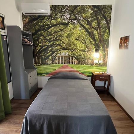 Guest House Le Vagabonde フィウミチーノ エクステリア 写真